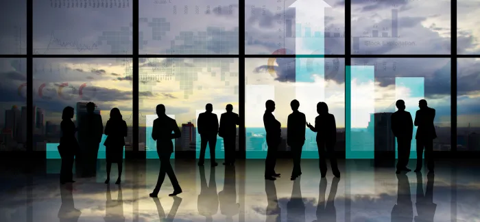 Foreign investors