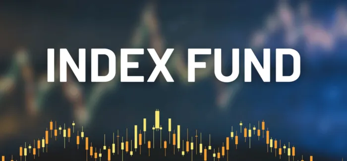 Index fund