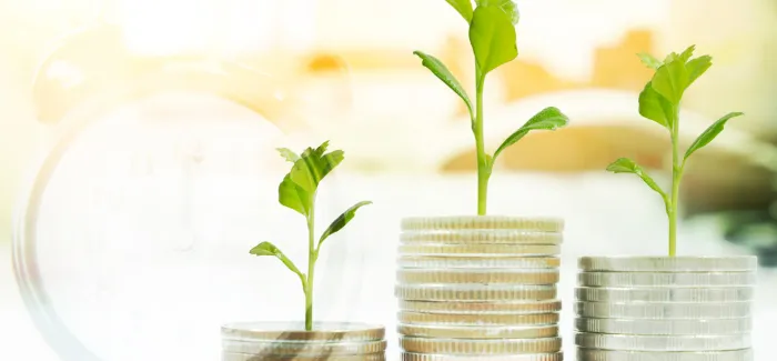 Mutual fund