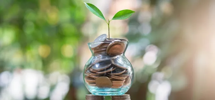 Mutual fund