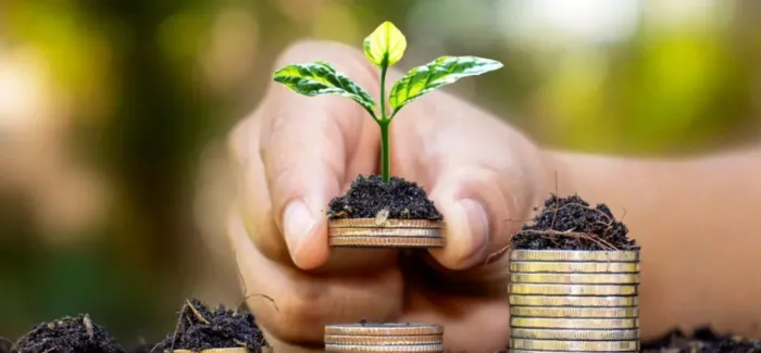 Mutual fund