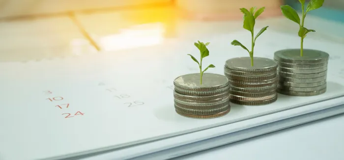 Mutual Fund