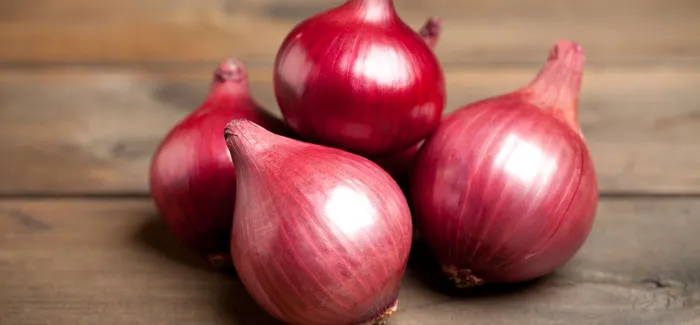 Onion