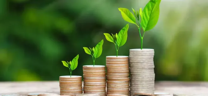 Mutual fund
