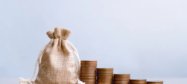 Mutual fund