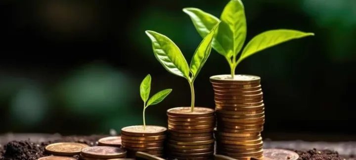 Mutual fund
