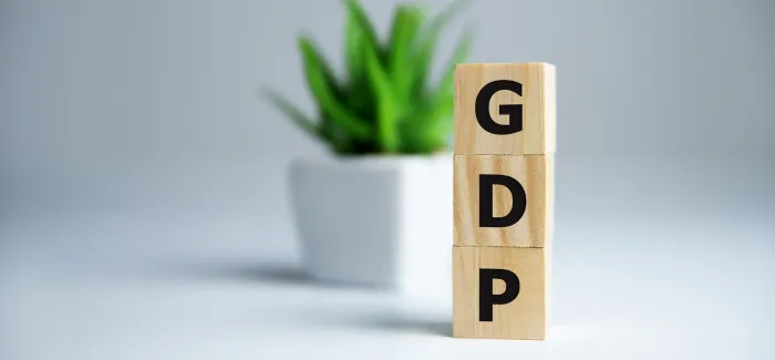 GDP Growth