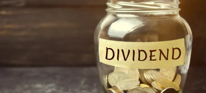 Dividend