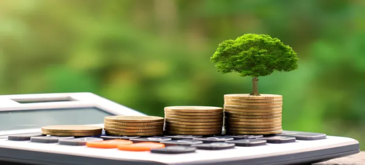 Mutual fund