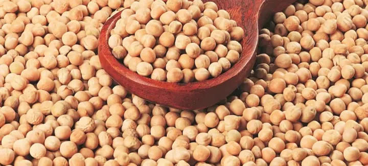 Yellow peas imports