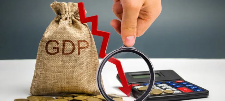 Indian Economy
