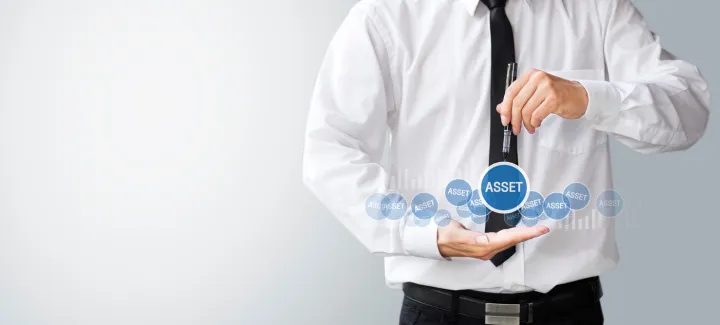Asset