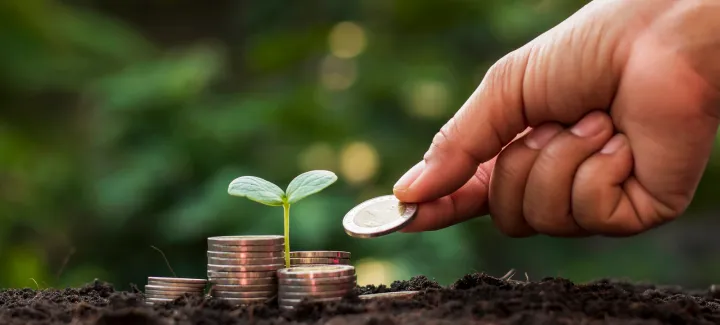 Mutual fund