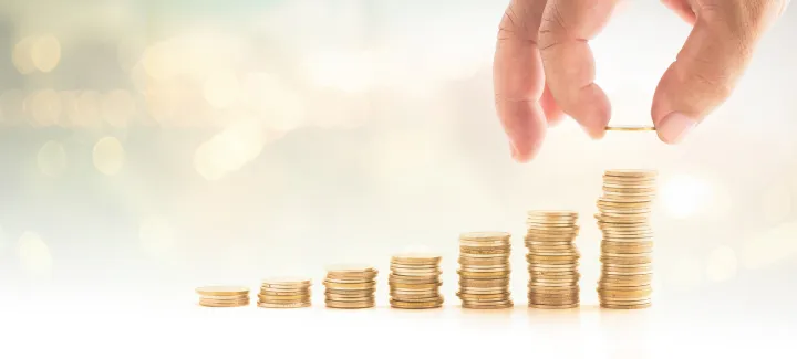 Mutual fund