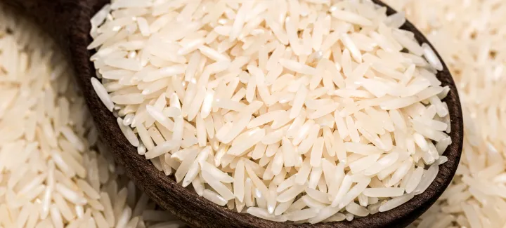 Rice