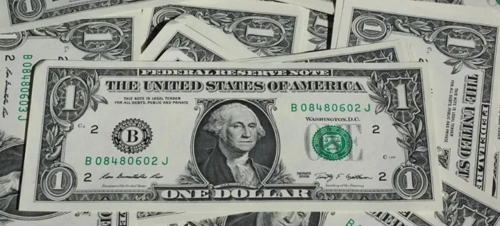 Foreign Exchange Reserves