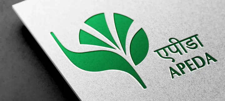 Untitled design 29 3