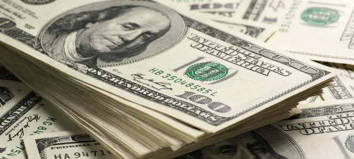 foreign exchange reserves