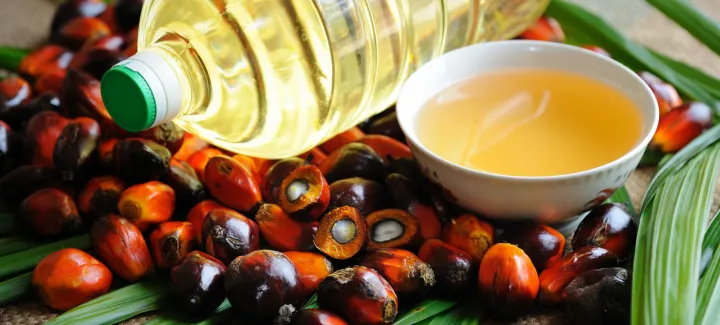 Palm Oil