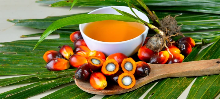 palm oil