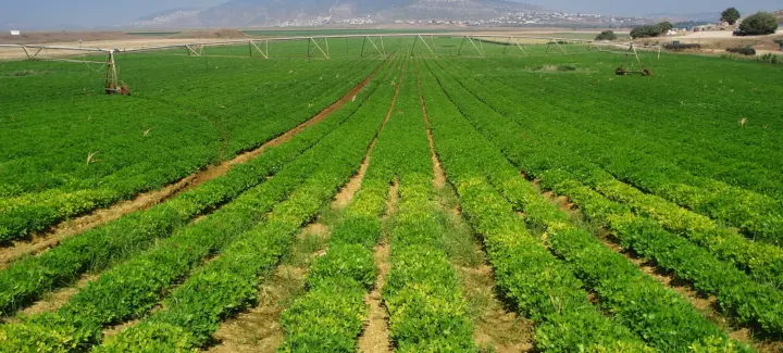 Agriculture Economics