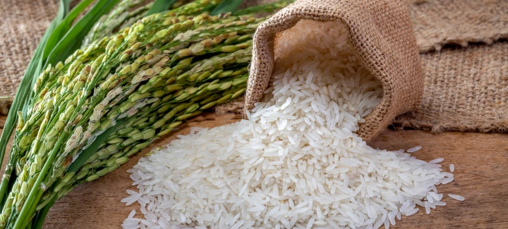 Rice