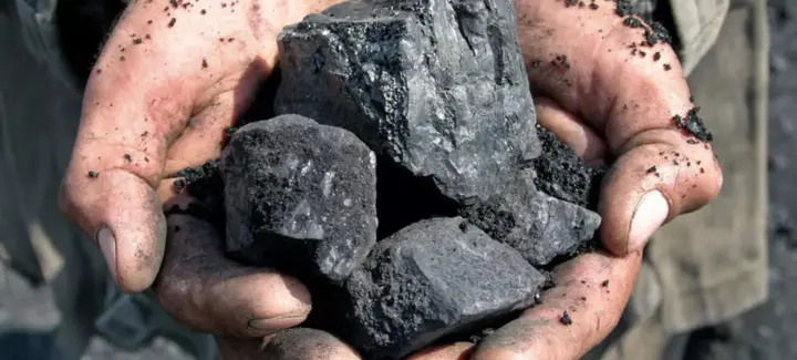 Coal