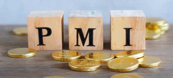 PMI