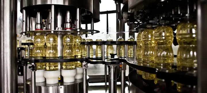 Edible oil