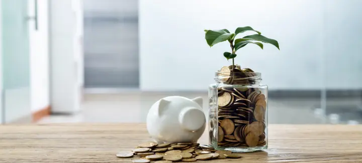 Mutual fund