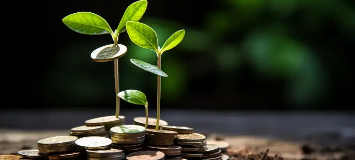 Mutual fund