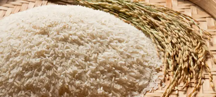 rice